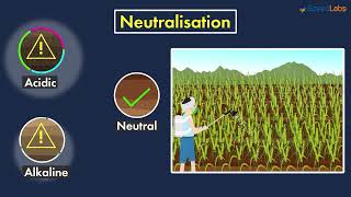 Class-7-Science-Ch-6-Acids, Bases & Salt-Topic- Neutralisation in Daily Life   Part 1   CBSE 7 screenshot 4