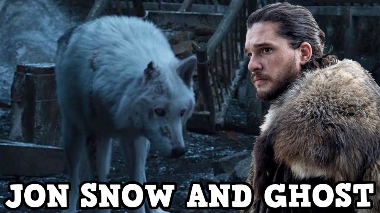 Game Of Thrones Season 8 Direwolves Deserve Better Jon Snow And