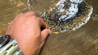 AMAZING,.‼️😱 FINDING OF SUPER RICH GOLD NEST || INDONESIAN INSIDE GOLD RIVER || GOLD PANNER