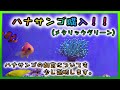 【海水魚水槽・サンゴ水槽】ハナサンゴ購入！！