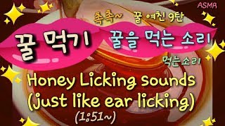 ASMR❤꿀 먹는소리❤입소리 꿀먹기9탄~Honey Ear licking eating sounds 꿀키스 Jane 제인
