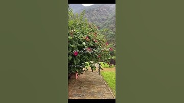 ( رَبَّنَا إِنَّكَ جَامِعُ النَّاسِ لِيَوْمٍ لَّا رَيْبَ فِيهِ ۚ) تلاوة عبدالرحمن مسعد