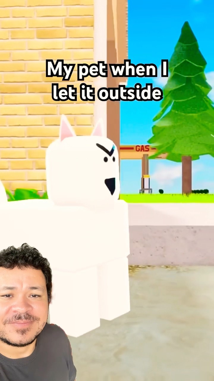 QUANDO VOCÊ DEIXA SEU PET SAIR NA RUA #mayumigames #roblox #shortsvideo #youtubeshorts