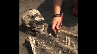 Yunxian 2: The skull that rewrite the human evolution timeline