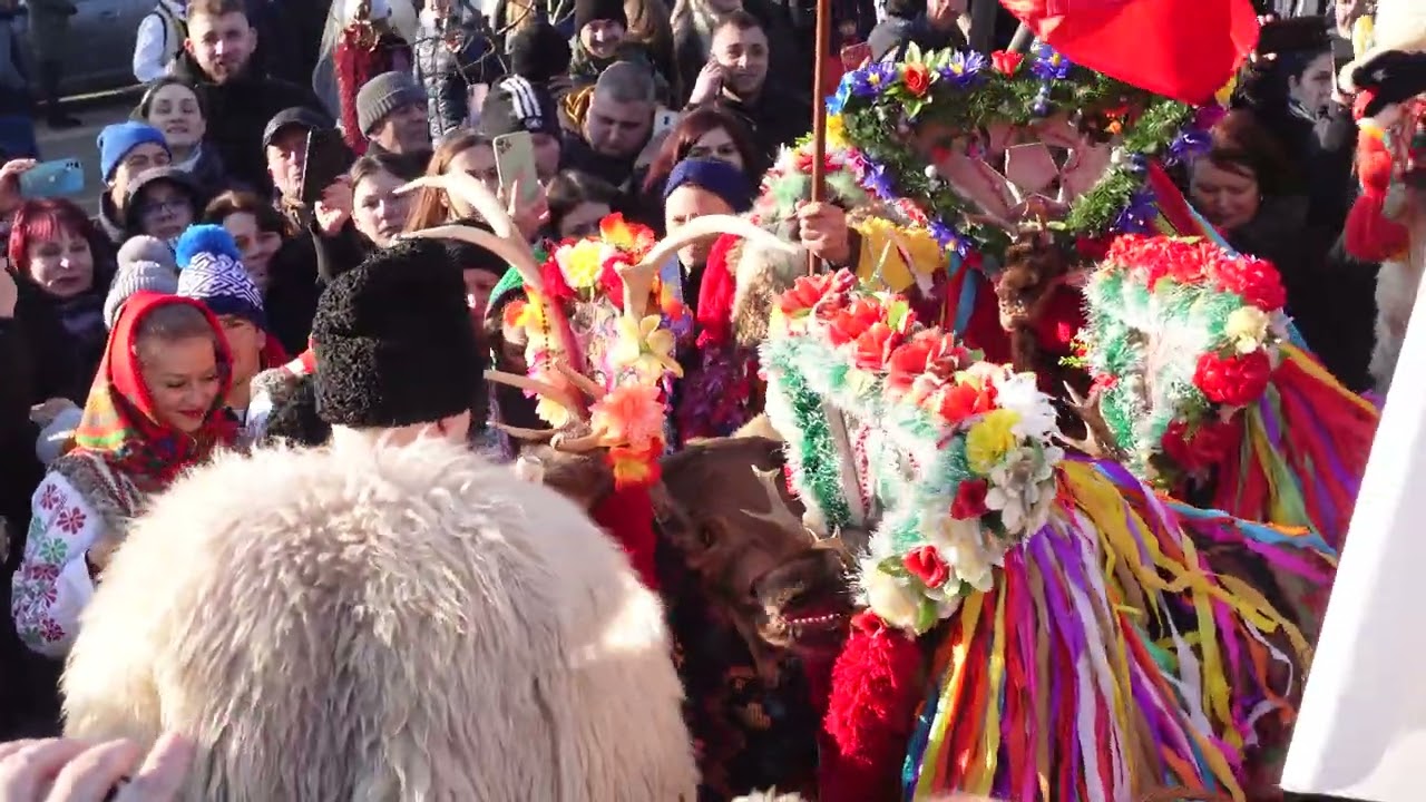 Plugușorul și caprele din Cilibiu 2022