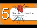 The Cardiac Cycle