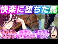 快楽に堕ちた顔が可愛い史実のアドマイヤジャパンとタニノギムレットに対するみんなの反応集【ウマ娘プリティーダービー】【Yogibo】