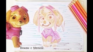 ЩЕНЯЧИЙ ПАТРУЛЬ СКАЙ ,КЛАССНО РИСУЕТ ,СЕРГИЕВ ПОСАД, ЖЕНЕЧКА ЩЕНЯЧИЙ ПАТРУЛЬ СКАЙ ,КЛАССНО РИСУЕТ ,СЕРГИЕВ ПОСАД, ЖЕНЕЧКА