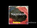 Napolon