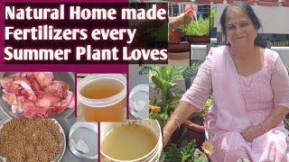 Best Home made Organic Fertilizers For your Summer Plants/Home made fertilizer for your plants
