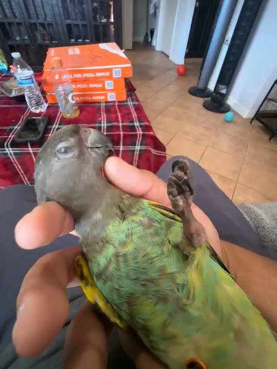 youtube.com