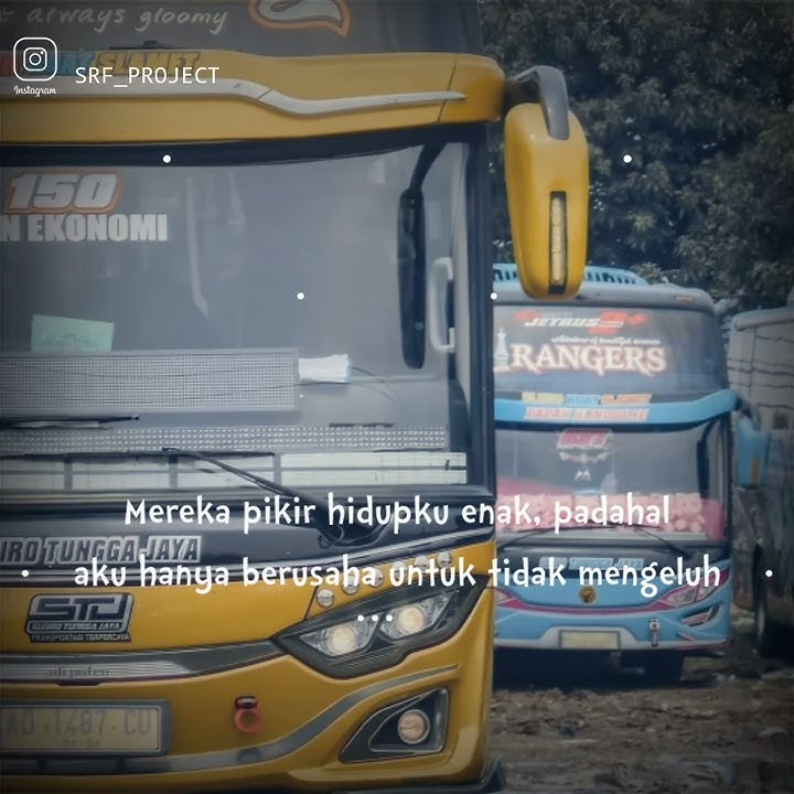 STORY WA 30 DETIK || STJ Valley 💎