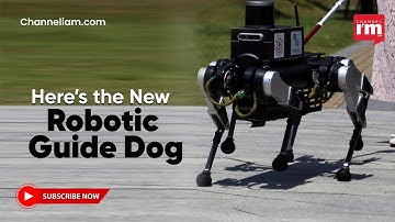 Robodog Set to Transform Mobility for Visually Impaired in China