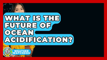 What Is The Future Of Ocean Acidification? - Weather Watchdog