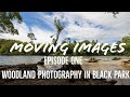 Episode One - Woodland Photography in Black Park