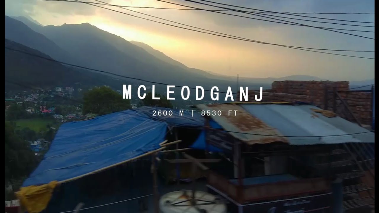 Triund Trek in June | McLeodganj | Dharamshala | Trekking In Himachal Pradesh