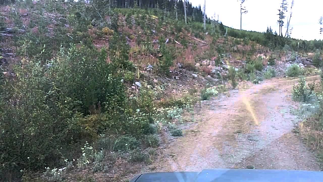 mule deer hunting pt1.Okanagan YouTube