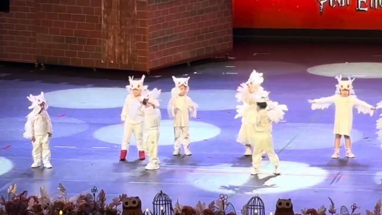 Do the Owl | VPSI Year End Show ‘24 • Harry the Potter | Lucian