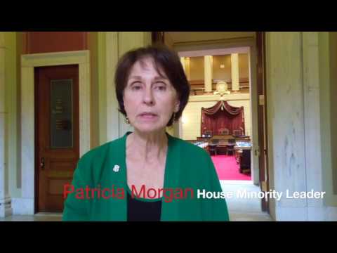 Patricia Morgan - RI House GOP cutting waste, fraud and abuse from government spending