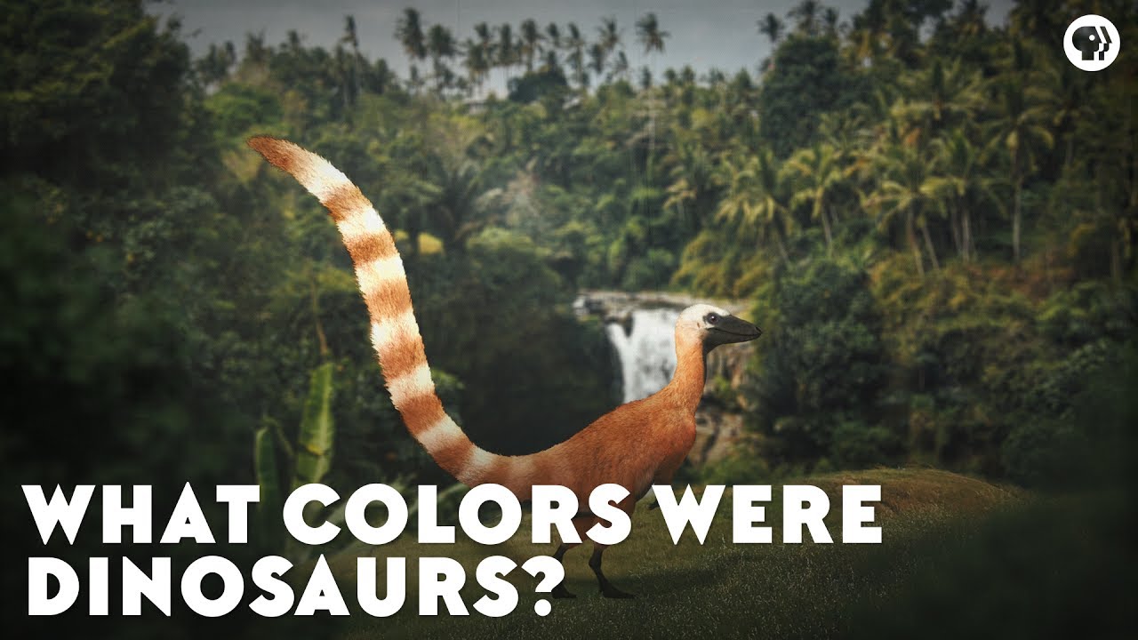 ⁣What Colors Were Dinosaurs?