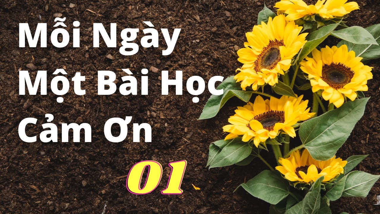 Mỗi ngày một bài học | #1- Mỗi Ngày Một Bài Học Cảm Ơn – Thanh Ly & Bảo Phúc | Đọc: Huỳnh Minh Hiền