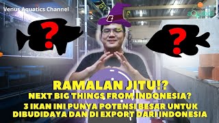 IKAN YANG LAYAK DITERNAK DAN MANTAP UNTUK DI EXPORT!  (Update 2021) screenshot 4