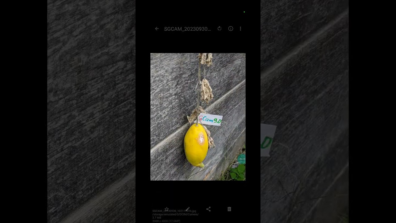 GCam 9.0. SmartScreenRecord