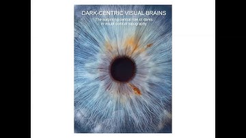 SUNY Optometry scientists discover a surprising central role of darks in brain visual maps