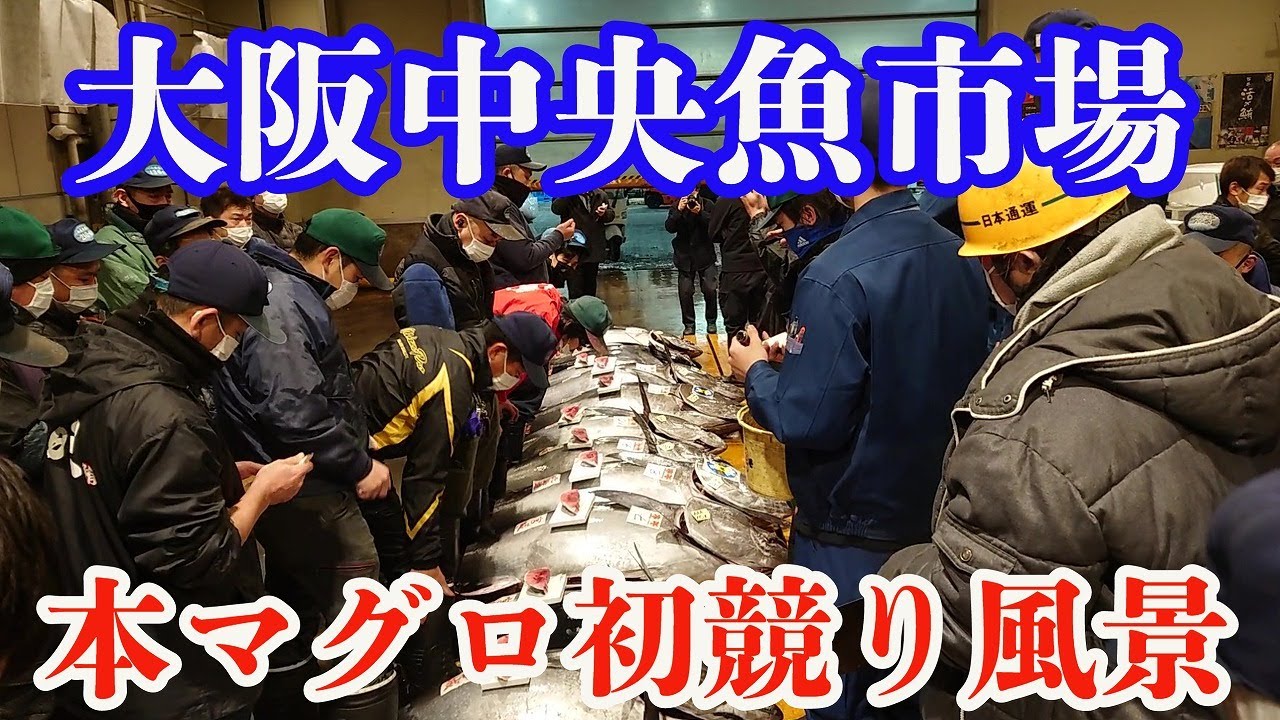 First Bluefin Tuna Auction!!] Osaka Central Fish Market Japanese
