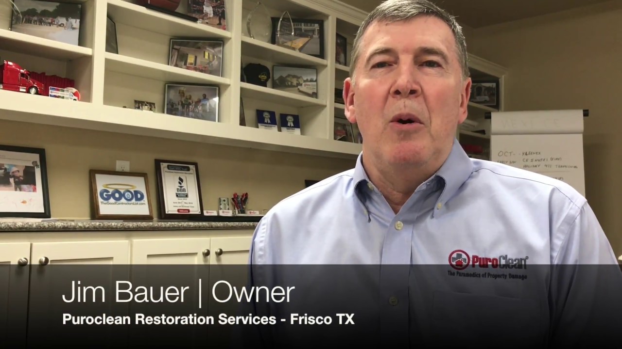 What is the difference between mold and mildew?