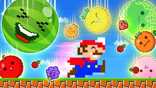 Mario Escape The Watermelon Suika Challenger Maze Level Up Gm Animation