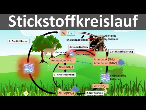 Klimawandel, Treibhauseffekt und globale Erwärmung in 3 Minuten erklärt