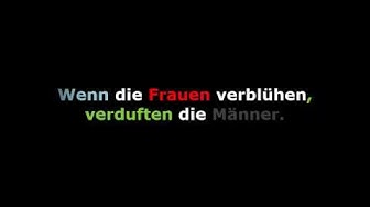 Provozierende Sprüche Gegen Ex Provozierende Sprüche Gegen Ex