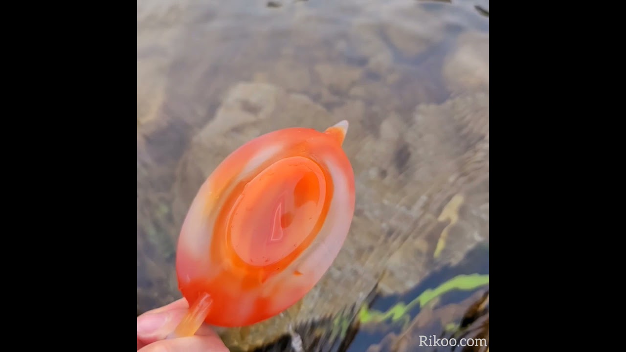 AMAZING 6.1" Agate Carved Crystal Teapot, Crystal Healing