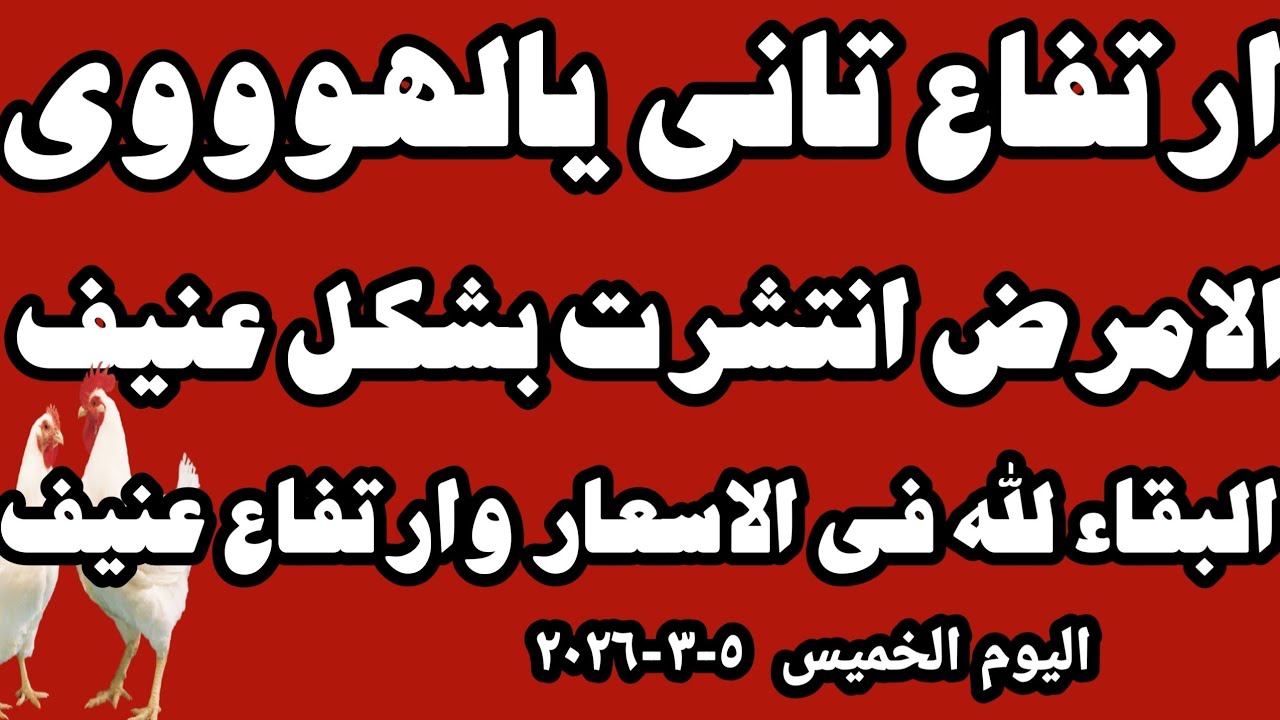 اسعار الفراخ البيضاء اليوم سعر الفراخ البيضاء اليوم الخميس ٥-٣-٢٠٢٦ في المحلات في مصر 