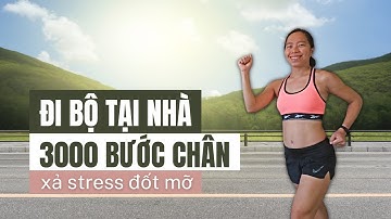 3000 Bước Chân Đi Bộ Tại Nhà - Xả Stress Đốt Mỡ Thừa