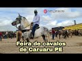 FEIRA DE CAVALOS DE CARUARU PE TERÇA FEIRA 12/01/2021 LUIZ PINTO