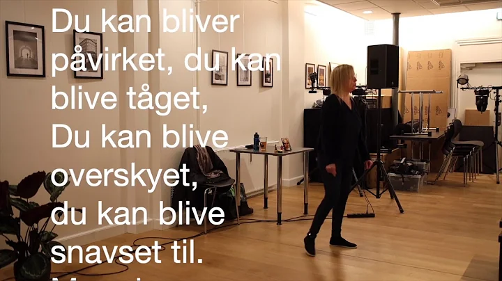 Kanaliserings foredrag v. Debbie Christensen 2019