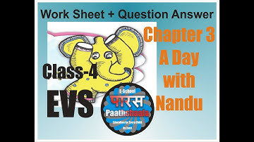 NCERT EVS Looking Around Class-4 Chapter-3  A Day With Nandu-Work Sheet & Question Answer