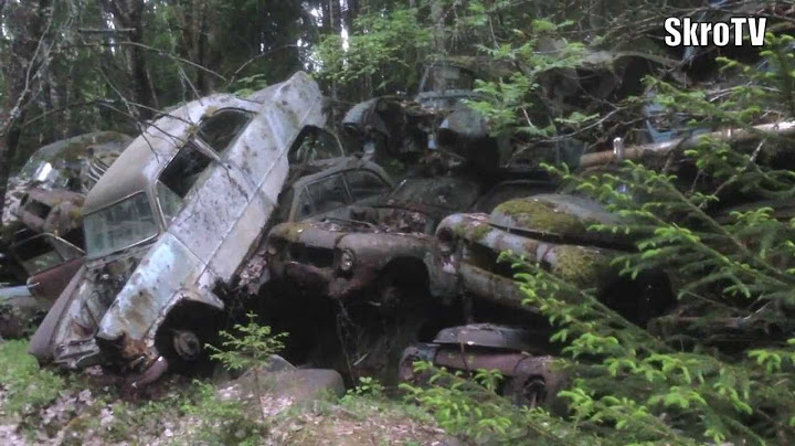 SkroTV - På sommaren vaknar bilskroten till liv