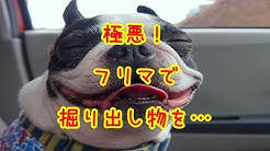2ちゃんねる 笑える話 長編 短編 妄想系 2ch Youtube