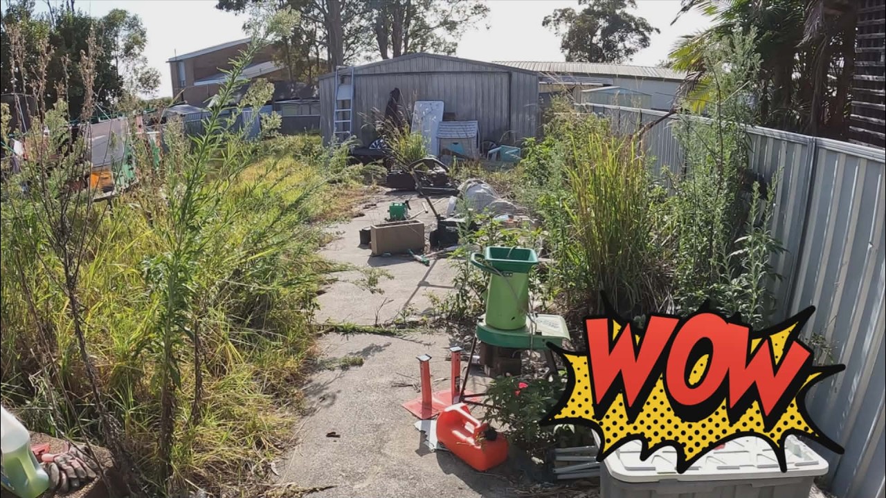 Watch This Backyard Go From MESS to WOW!