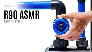 Setting Up the UNS R90 Reef System - ASMR Aquarium Build