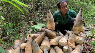 Survival instinct, wilderness alone, harvesting bamboo shoots, Building a life (Ep 174)