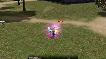 metin2 pvp ninja vs krieger