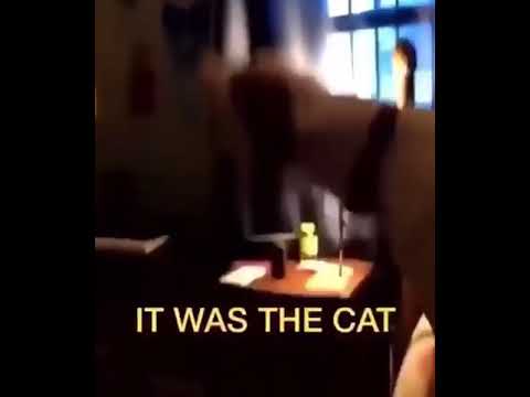 Did You Shit On The Floor It Was The Cat We Dont Have A Cat