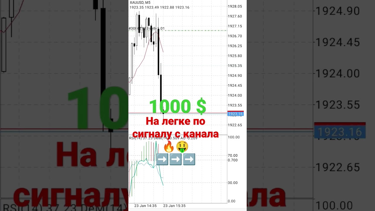1000 $ за 15 минут по сигналу с канала 🤑 