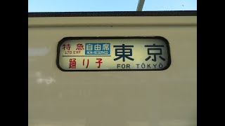 【車窓動画】185系定期運用が間もなく終了 特急踊り子16号東京行き 伊豆急下田→東京 進行方向右側(海側)の車窓の風景 2021.1.25