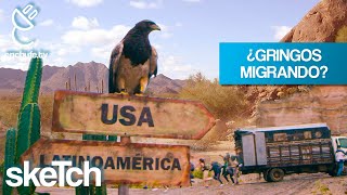 ¿Por Qué los Gringos Cruzan la Frontera | enchufetv