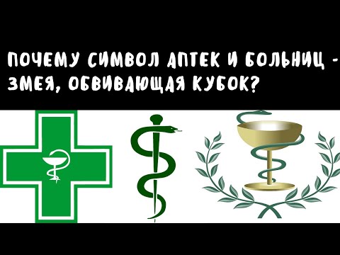 Почему символ аптек и больниц - змея, обвивающая кубок? | Занимательный факт